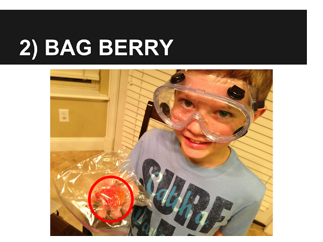 Alexander's Experiment - Bag Berry