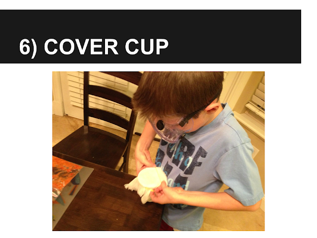 Alexander's Experiment - Cover Cup