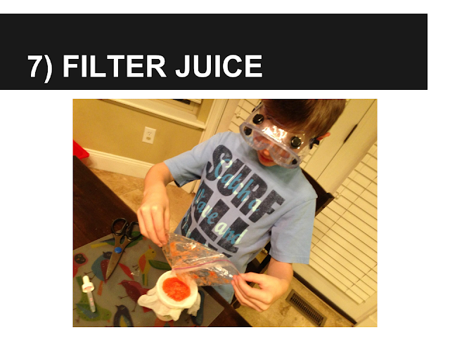Alexander's Experiment - Filter Juice
