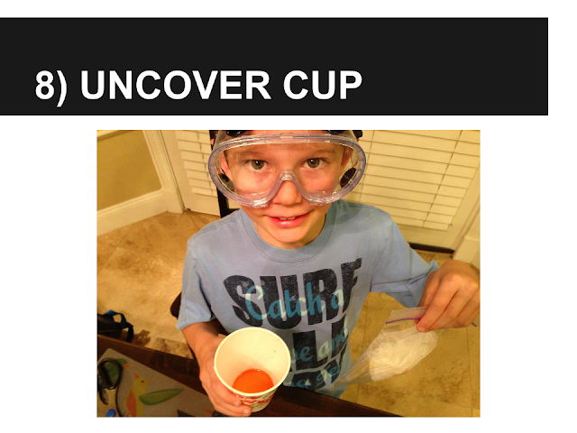 Alexander's Experiment - Uncover Cup